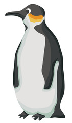 Cartoon penguin flat vector illustration