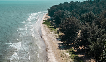 landscape beach and sea ocean with forest 