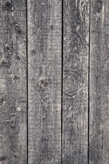 grunge wood planks