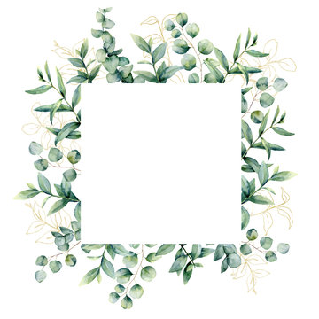Watercolor frame with golden eucaliptus leaves. Hand painted baby, seeded and silver dollar eucalyptus branch isolated on white background. Floral illustration for design, print, fabric or background.