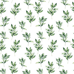 Fototapeta premium Akwarela zima wzór eukaliptusa. Ręcznie malowane skład zielonych gałęzi eukaliptusa na białym tle. Ilustracja kwiatowy wakacje do projektowania, drukowania lub tła.