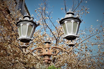 old street lamps on a background of autumn foliage and blue sky