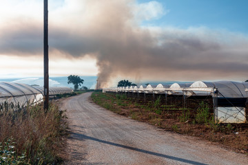 Black smoke in the air due to burning off of undergrowth on an agricultural farm.