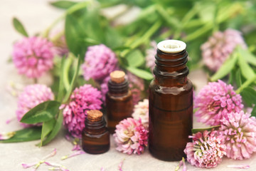 Fototapeta na wymiar Essential oil bottles on medicinal clover flowers and herbs background, selective focus, toned 