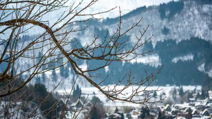 Stunning Mountain With Winter Landscape