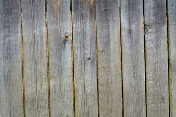 Background from wooden boards of natural color