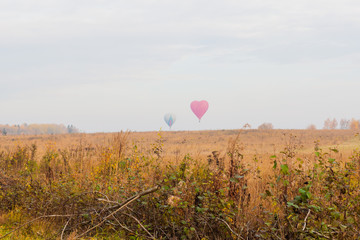 Autumn country landscape with hot air balloons in the sky