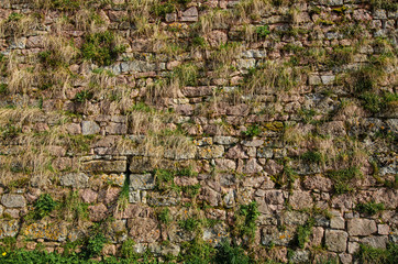 Fragment of an old fortress wall. The wall is made of stone blocks and is overgrown with grass. Semur-en-Osua. Burgundy. France. Texture. Background.