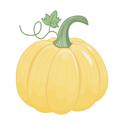 Yellow pumpkin with leaf. Cartoon style. Isolated element.