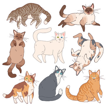 Cartoon cats. Cute kittens different colours, funny lazy cat. Adorable playful pets, home animals vector set