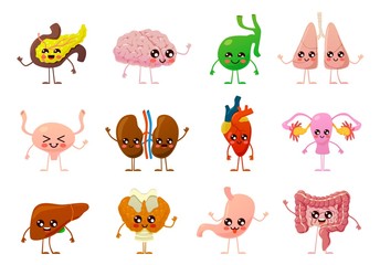 Internal organs. Human smiling brain, bladder and stomach, kidneys and intestines, liver and lungs, heart and pancreas cartoon vector set