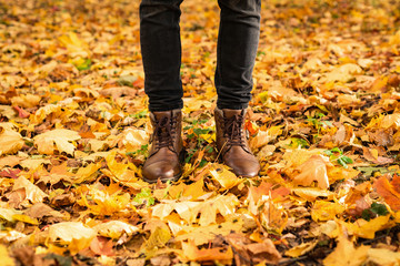 Hipster legs in brown shoes in autumn park with yellow and red maple fallen leaves around. Seasonal conceptual background image
