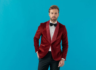 elegant fashion man wearing red velvet tuxedo