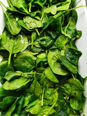 fresh spinach leaves