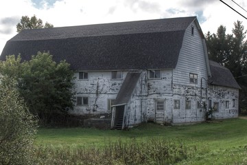 Obraz premium 0552 - Metamora's M-24 White (0552-BAR-100519-1109A)