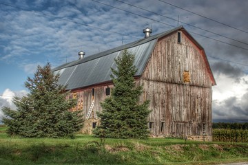 Obraz premium 0556 - North Irish Road Red II (0556-BAR-100419-0948A)