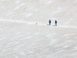 Hikers walking uphill on path in the snow with dog in the Stelvio national park, Italy