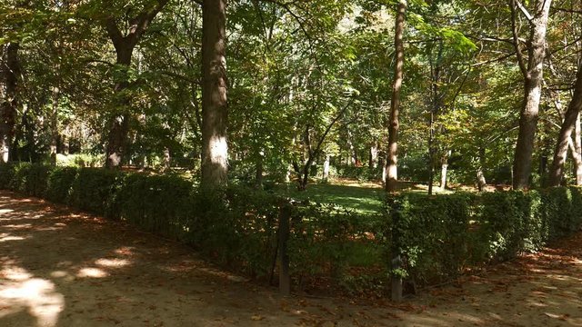 POV concept of choosing between two paths in a park. Looking left then right using a gimbal