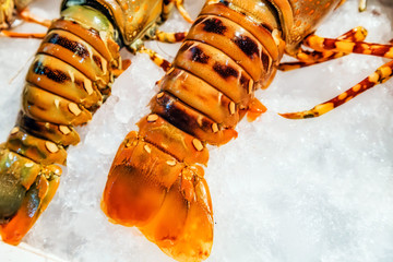 Lobster tail raw Food Background