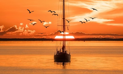 Fototapety na wymiar - Fototapeta24.pl