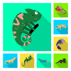 Isolated object of tail and fauna symbol. Set of tail and environment stock vector illustration.