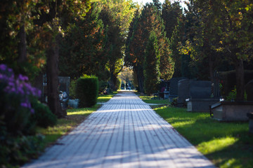 Obraz premium Autumn alley at the cemetery before the All Saints Day