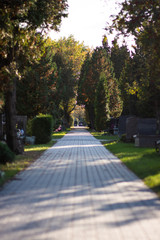 Autumn alley at the cemetery before the All Saints Day