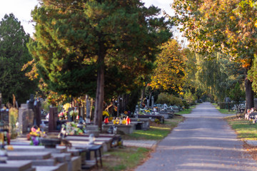 Fototapeta na wymiar Autumn alley at the cemetery before the All Saints Day