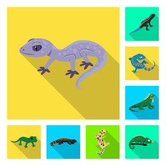 Vector illustration of tail and fauna symbol. Set of tail and environment stock symbol for web.