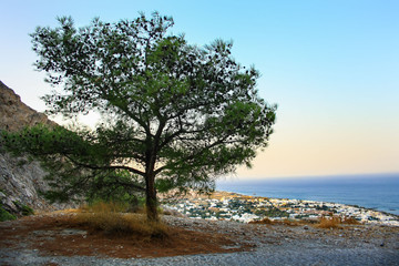 Fototapeta na wymiar Kamari on the island of Santorini seen from the road leading to the peak of Profitis Ilias