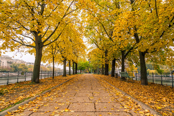 Shot of the Ile aux Cygnes, isle of the Swans, in Paris France on an autumn day, with green yellow and orange fall leaves on the trees and buildings of Beaugrenelle