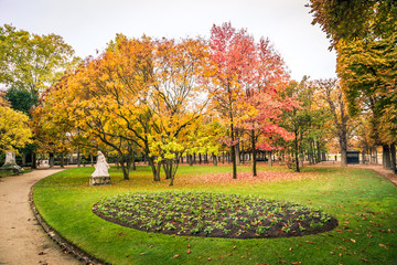 Autumn trees in Luxembourg Gardens in Paris France during the Fall