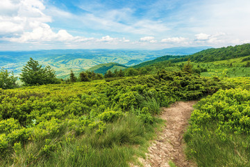 Fototapeta na wymiar winding path through large meadows on the hillside of Carpathian mountain ridge