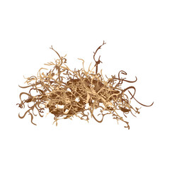 Isolated object of waste and material logo. Graphic of waste and sugarcane vector icon for stock.