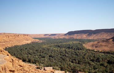 Fototapeta na wymiar Bosque de Marruecos