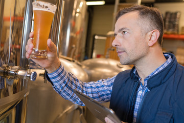 manufacturer examining beer in brewery