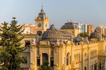 Obraz premium Ayuntamiento de Malaga