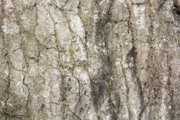 pietra