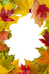 Naklejka na ściany i meble Border frame of colorful autumn maple leaves