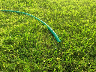 watering the grass the Blue Hose is standing on the ground