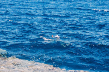 Scuba diving in the tropical sea, diving with masks