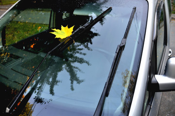 yellow maple leaf on car glass, reflection in the glass autumn trees beautiful glare, after rain