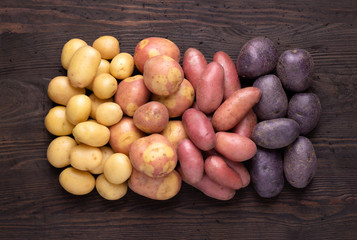 Heap of different types of potatoes on dark wooden rustic table - obrazy, fototapety, plakaty