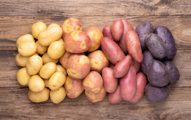 Heap of different types of potatoes on wooden rustic table - obrazy, fototapety, plakaty
