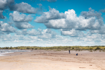 Fototapeta na wymiar clouded beach, Gdańsk, Poland