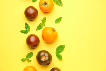 Different fresh tomatoes with basil on color background