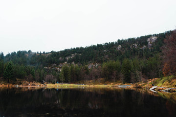 Beautiful norwegian nature.  Forest lake. Cloudy day.