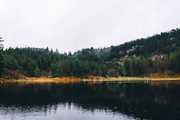 Beautiful norwegian nature.  Forest lake. Cloudy day.