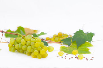 Green grapes with leaves isolated on white background. Bunch of fresh ripe juicy grapes.