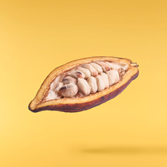 Fresh ripe coconut isolated on white background